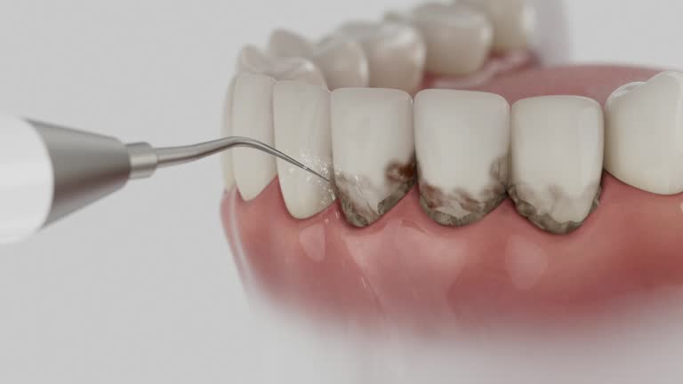 Reliable Dental contractor in Coeur d'Alene, ID by Dentist Open Now